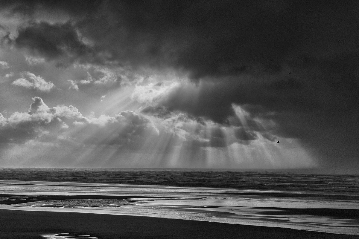 John Brockliss tweet media