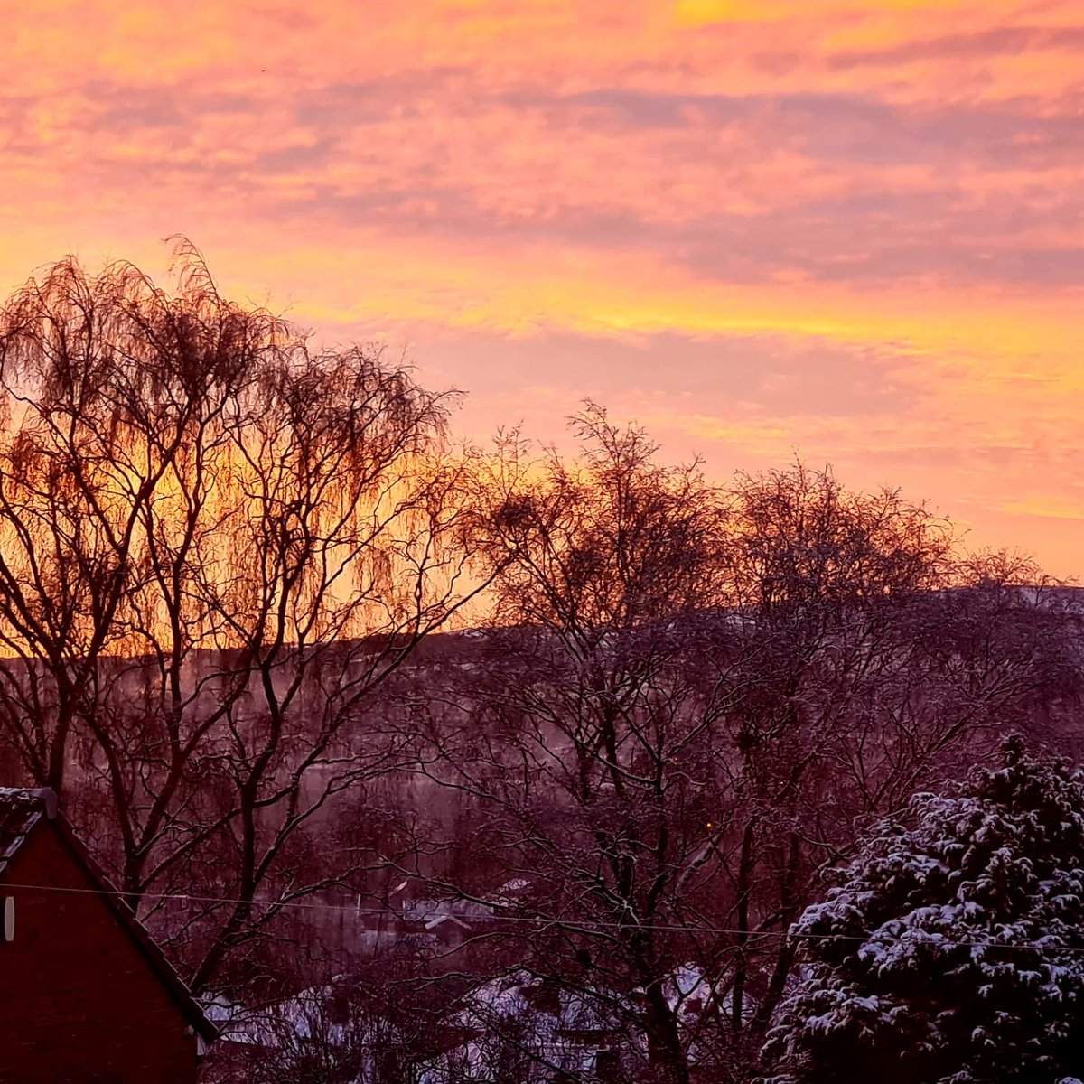 Shigufta1's tweet photo. Opened the curtains this morning to this view ! Just wow ❤ #snow #Winterslow #PhotoOfTheDay https://t.co/3HnBPKAaye