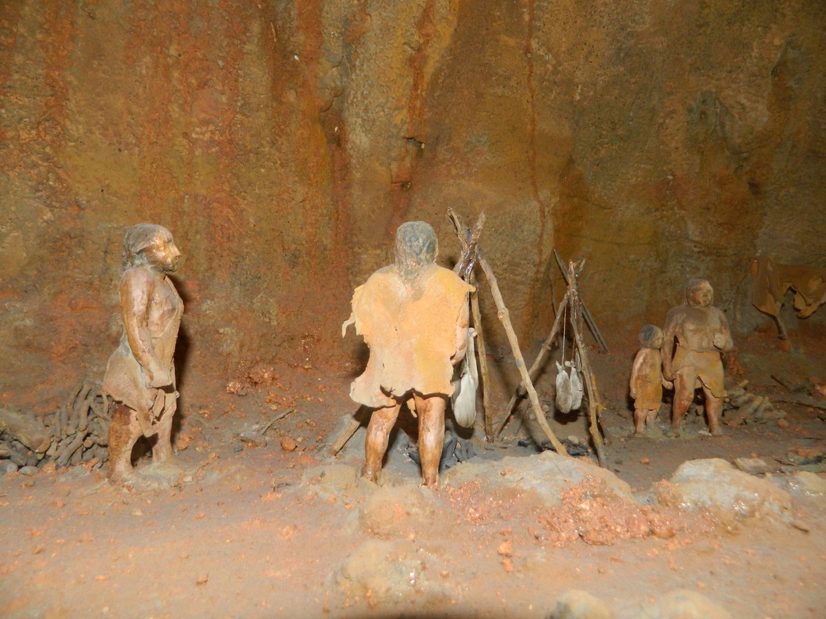 museoevolucion's tweet photo. Esta semana, en los directos del #MEH...
🐵 Martes, 14:00: #AustralopithecusAfricanus.
⛺️ Miércoles 14:00: Diorama del Yacimiento #AbricRomaní.
🤯 Jueves (para EPO) y viernes (para ESO), 13:30 horas: Atapuerca Online: ¿Somos humanos?
😉¡Para aprender disfrutando, y viceversa! https://t.co/r8Cr2ru61s