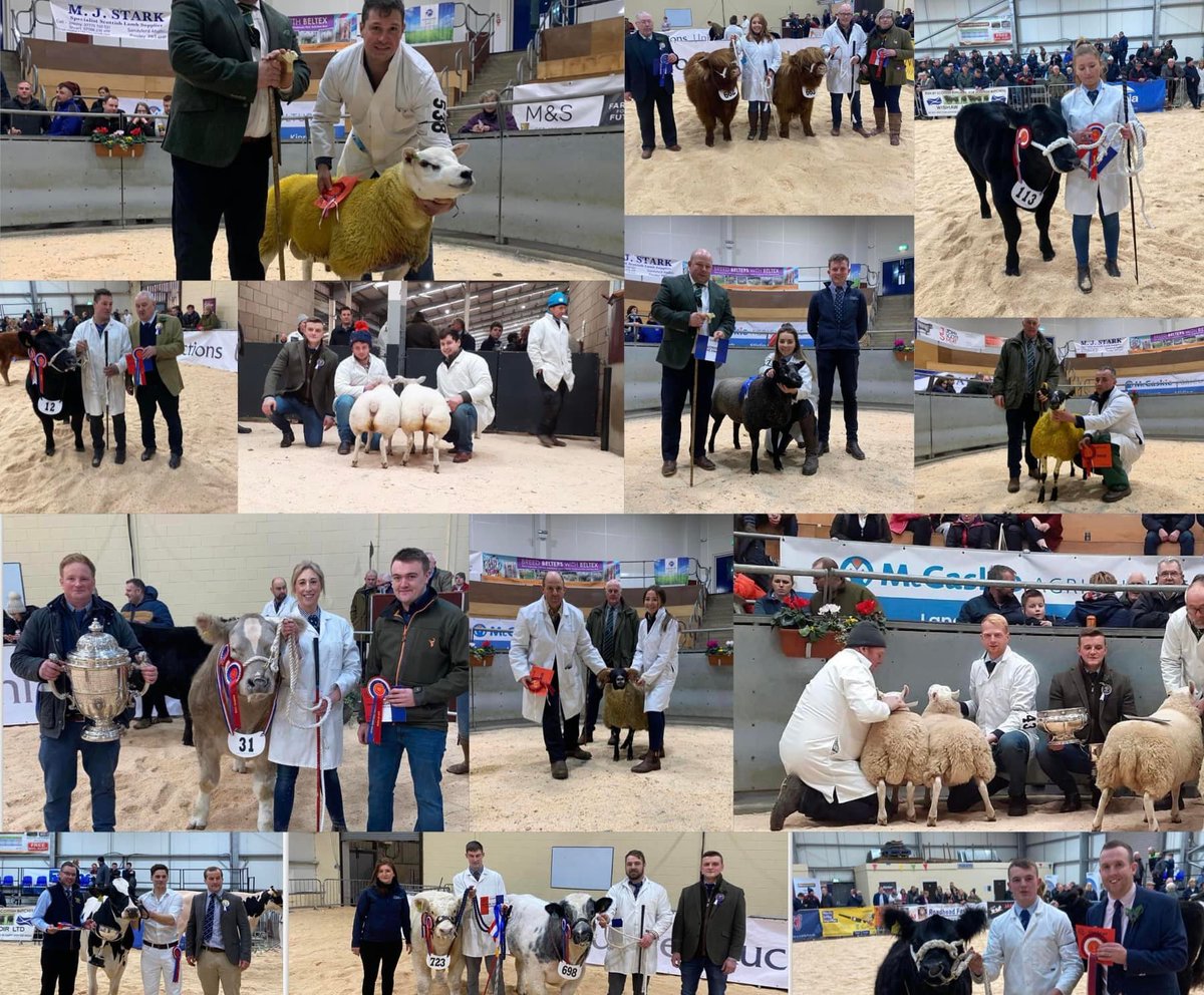 Was great to be back at LiveScot😁

An extremely high standard of stock was on show, well done to all exhibitors👏🏻

Huge congratulations to customers Craig and Teen Malone on winning Supreme Beef Champion with ‘Silver Lining’ selling for an outstanding £5,600🔥