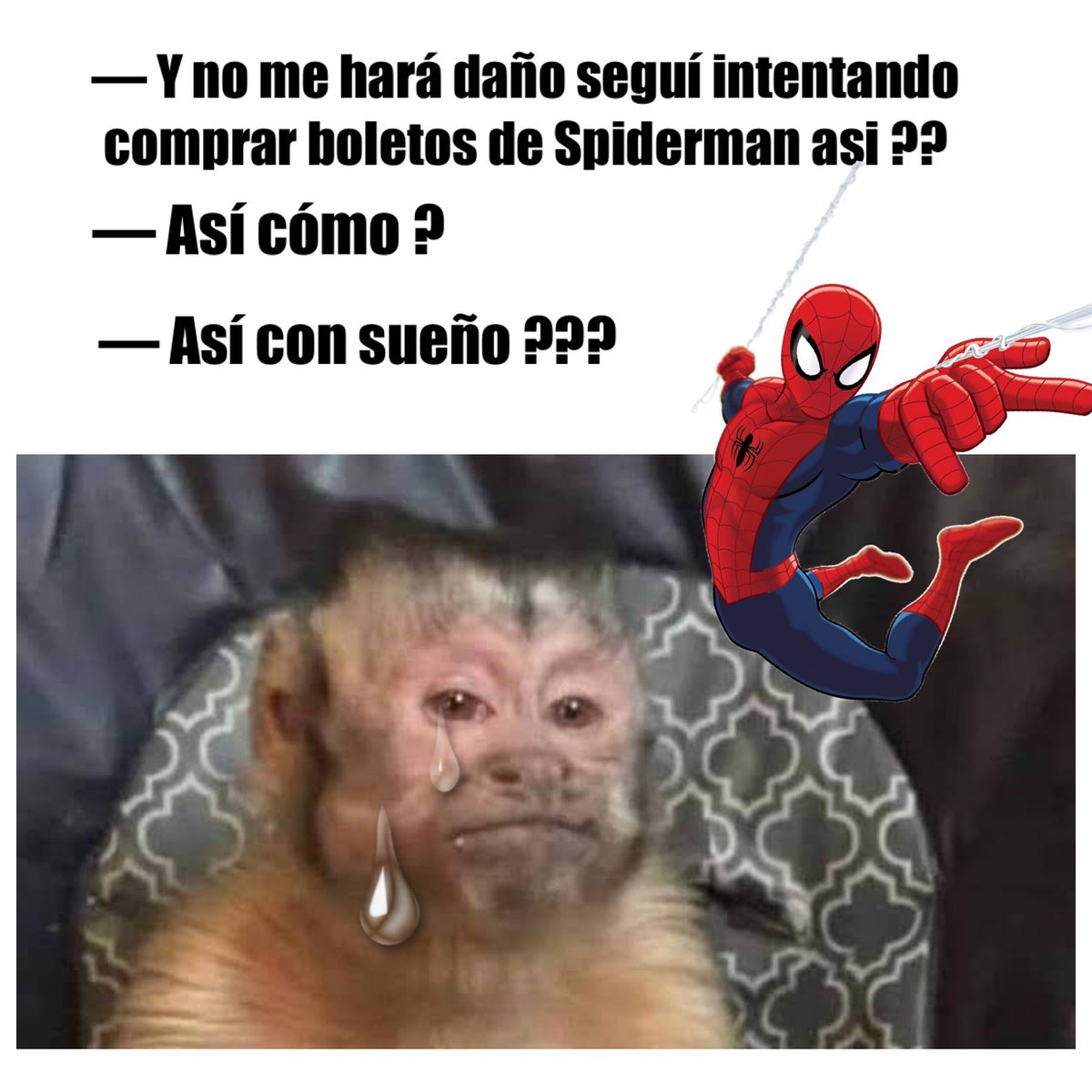 ZaiL_Sil's tweet photo. @edith__tc #SpiderManNoWayHome #Preventa #Spiderman https://t.co/RAFKpHfzf4