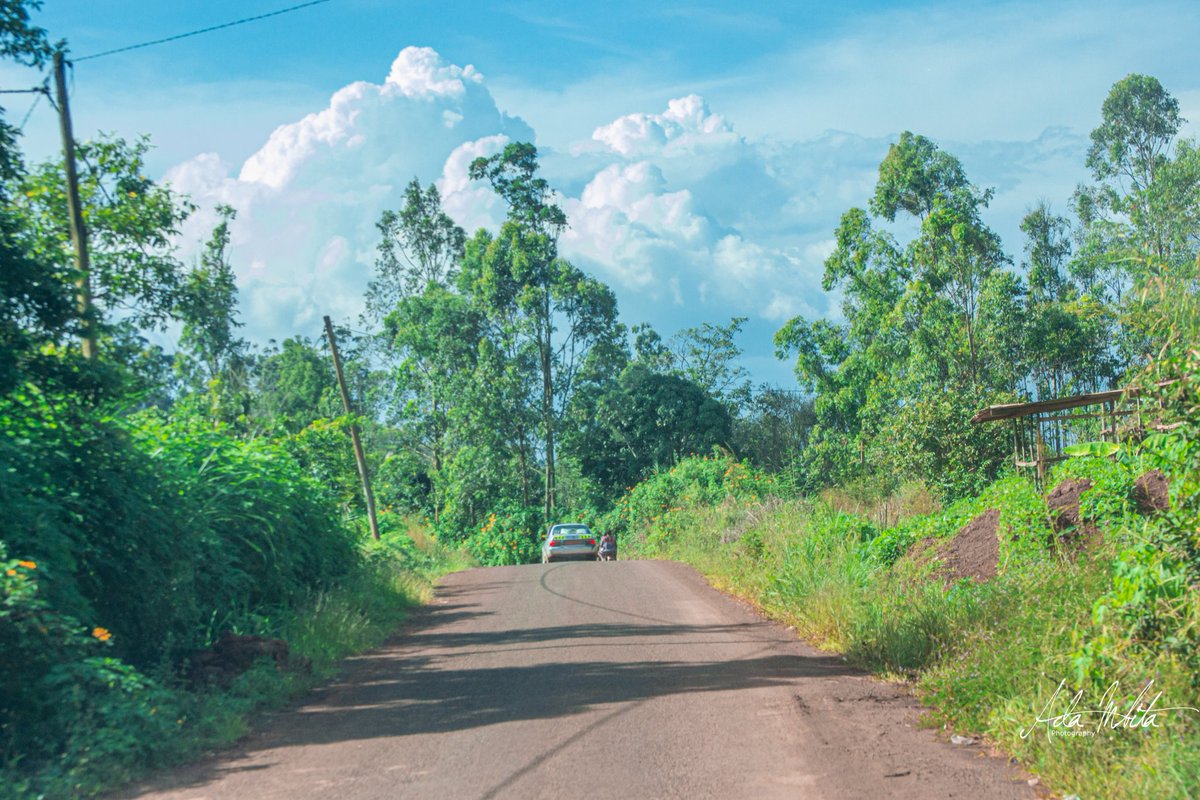 adambita237's tweet photo. Toujours à la découvertede l'ouest du Cameroun..🥰🙃🙏🏽🌱⚘

Balade dans les rues de #Bafoussam 

Découvrir le #Cameroun🇨🇲➡😱🌇💚❤💛
Welcome to #Cameroon

#voyage #trip #photographer #studionrc #travelphotography #mboapic #street #roadtrip #igers #quartier #rue
#BaladeAuCameroun https://t.co/CqsHRVG6ge