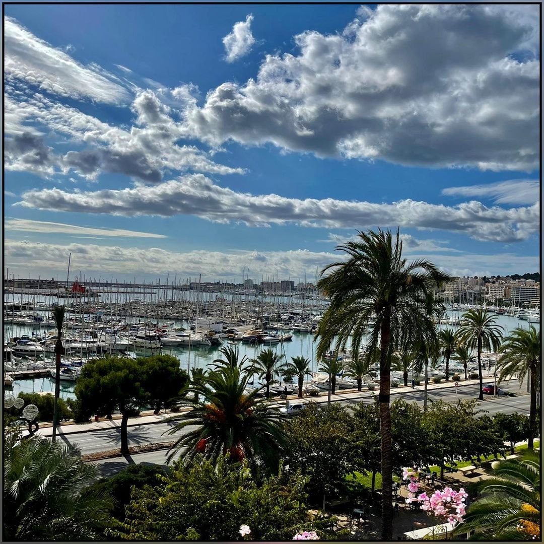 El Paseo Marítimo es uno de los lugares más emblemáticos de Palma; un espacio privilegiado para hacer deporte, pasear viendo los barcos del puerto o simplemente disfrutar de sus inmejorables vistas desde los antiguos baluartes de la ciudad

#VISITPALMA

📷ciamariacecilia en IG