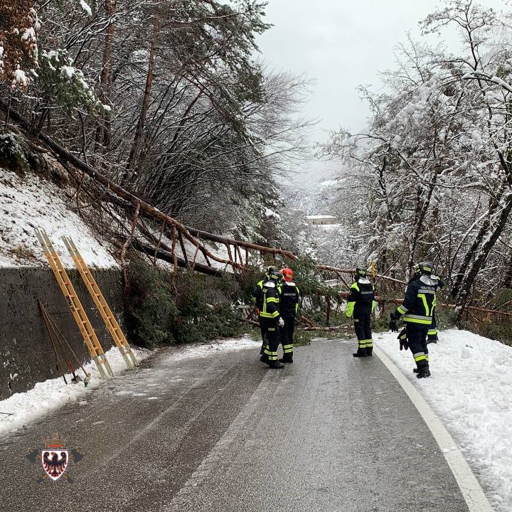 fedvvfvoltn's tweet photo. Gli interventi della #domenica: #vvfdro allertati alle 11.49 dopo che un’auto è caduta nelle gelide acque del fiume Sarca, #vvfpraso alle prese con taglio piante e messa in sicurezza SP 27 a seguito della nevicata. #vvftrentino #essercisempre https://t.co/N0F4hW8aAo