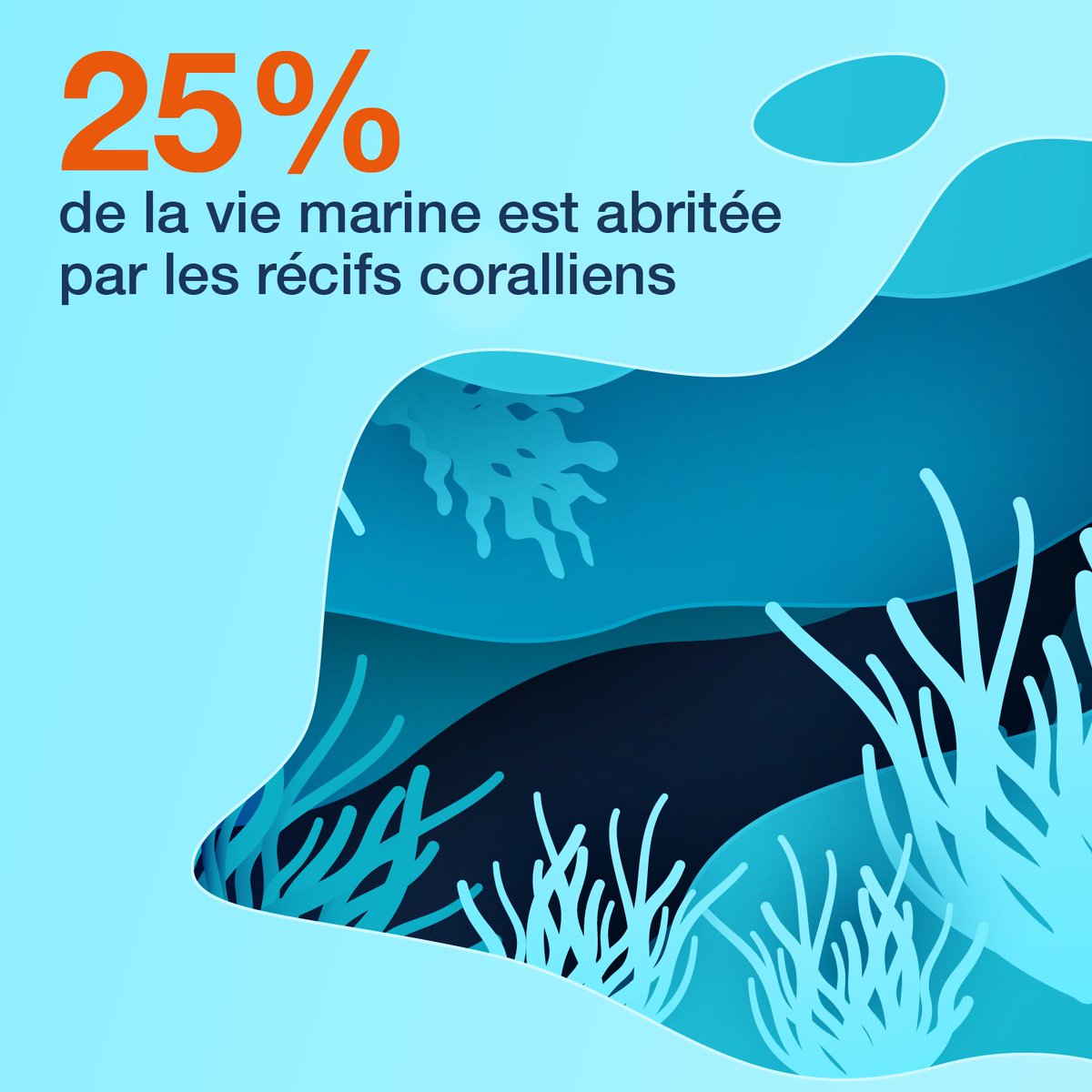 [#Data] Les récifs coralliens abritent 25% de la #biodiversité marine sur 0,2% de la surface de l’Océan. Soumis aux changements #climatiques et aux pressions humaines, leur état se dégrade : 20% des récifs ont d’ores et déjà disparus 👉Mission Tara Pacific swll.to/Se0cCl