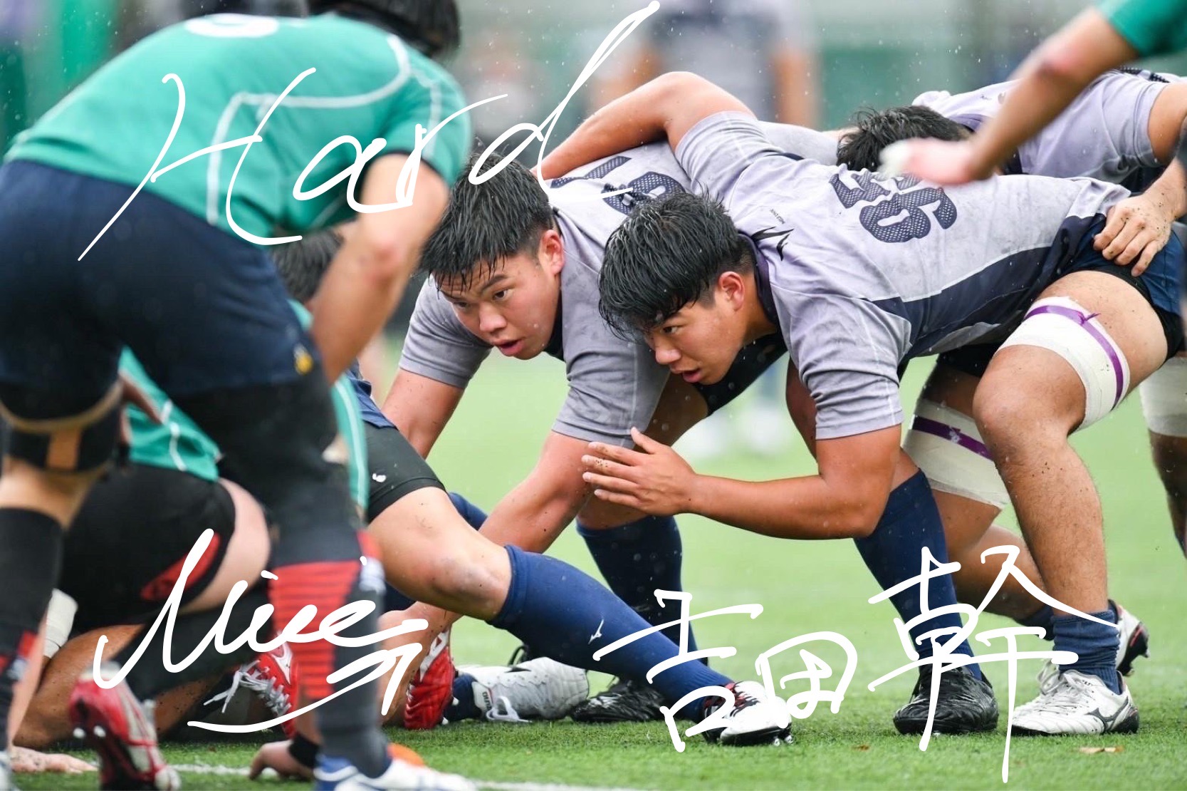Sanichi Panthers Snc Panthers Twitter