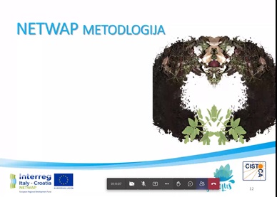 NetwapProject tweet picture