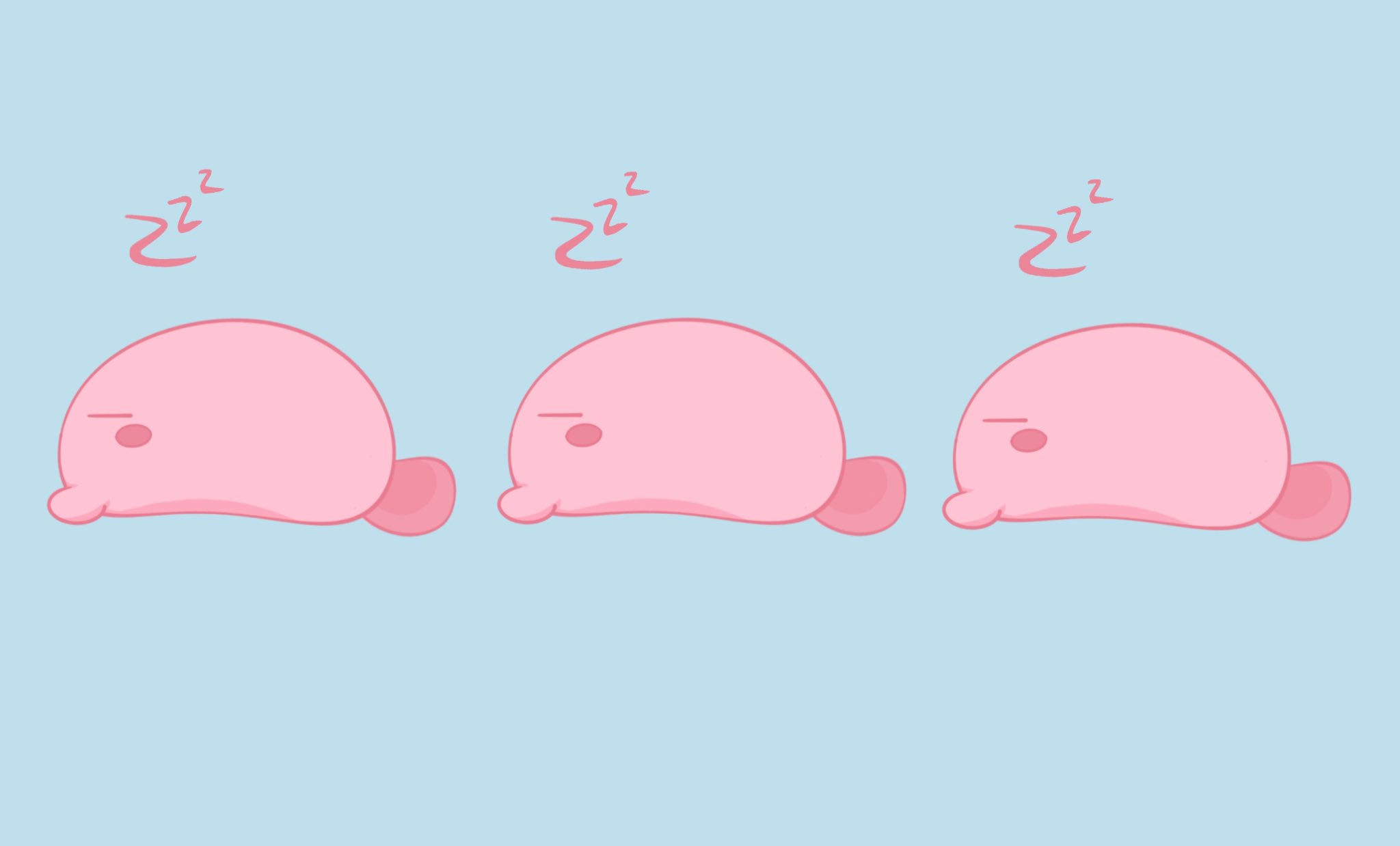 Seeshell Shellfuu0 Twitter