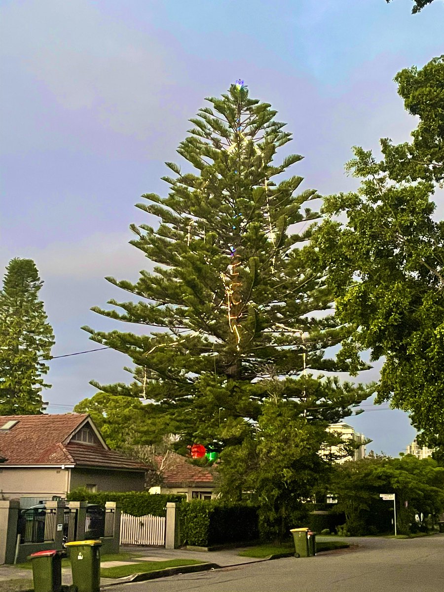 Max McKinney tweet media