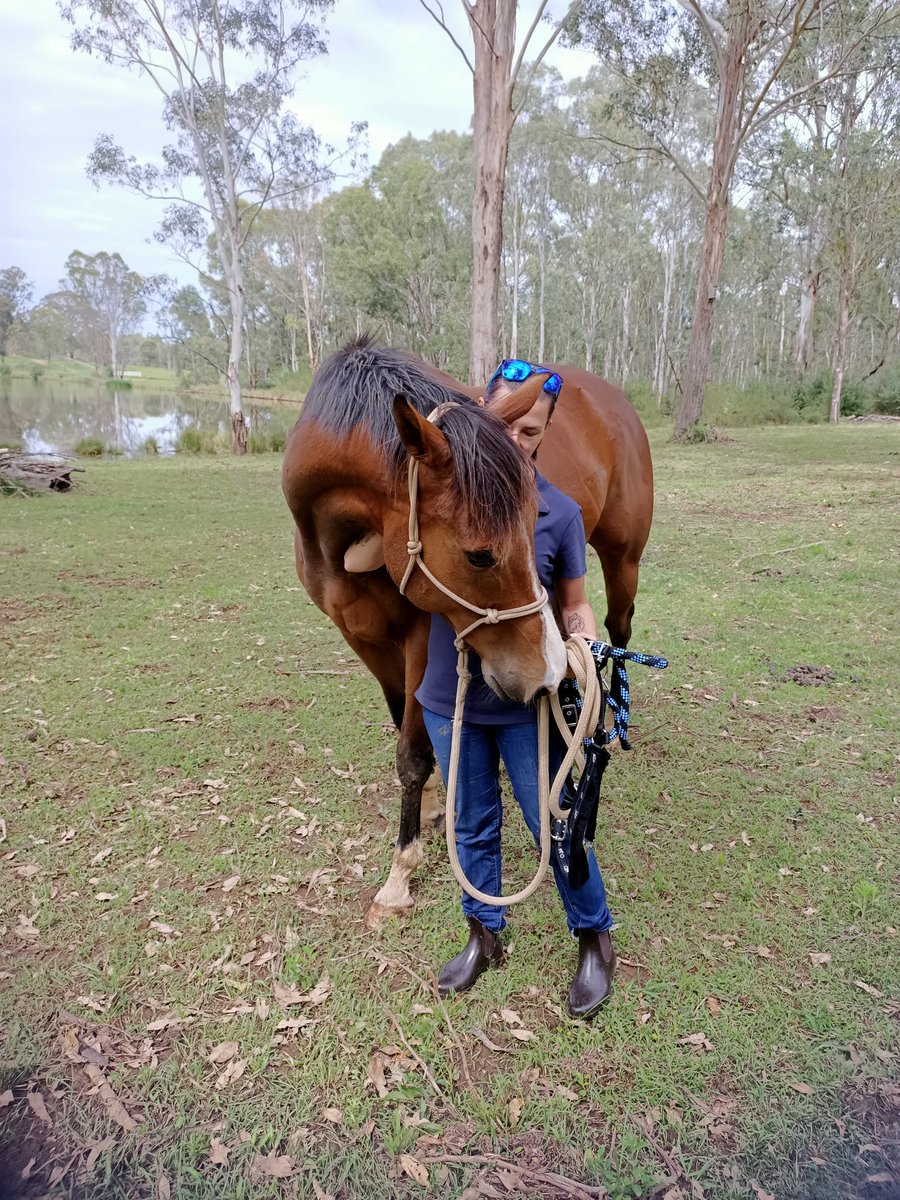 WonderingWay23's tweet photo. Meet Kash, isn't he just a beautiful boy🤩 I am in love 🥰 https://t.co/AH4cdvJqgq