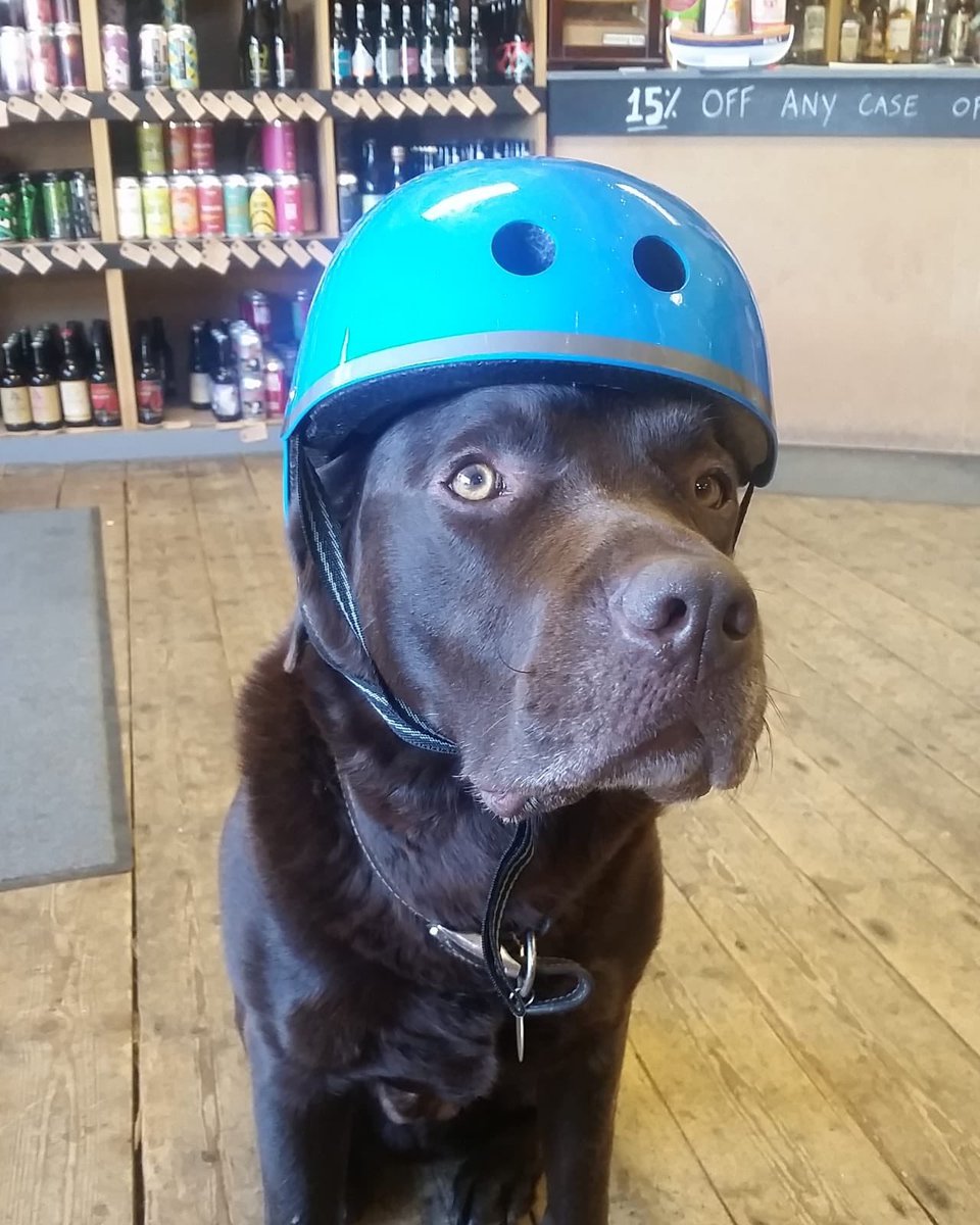 The Bottle Shop Penarth tweet media