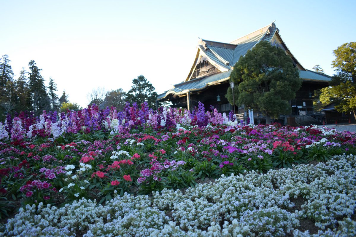 kani_camera's tweet photo. 成田山行ってきました！
紅葉綺麗だった
#D5600 https://t.co/t2F5Onro49