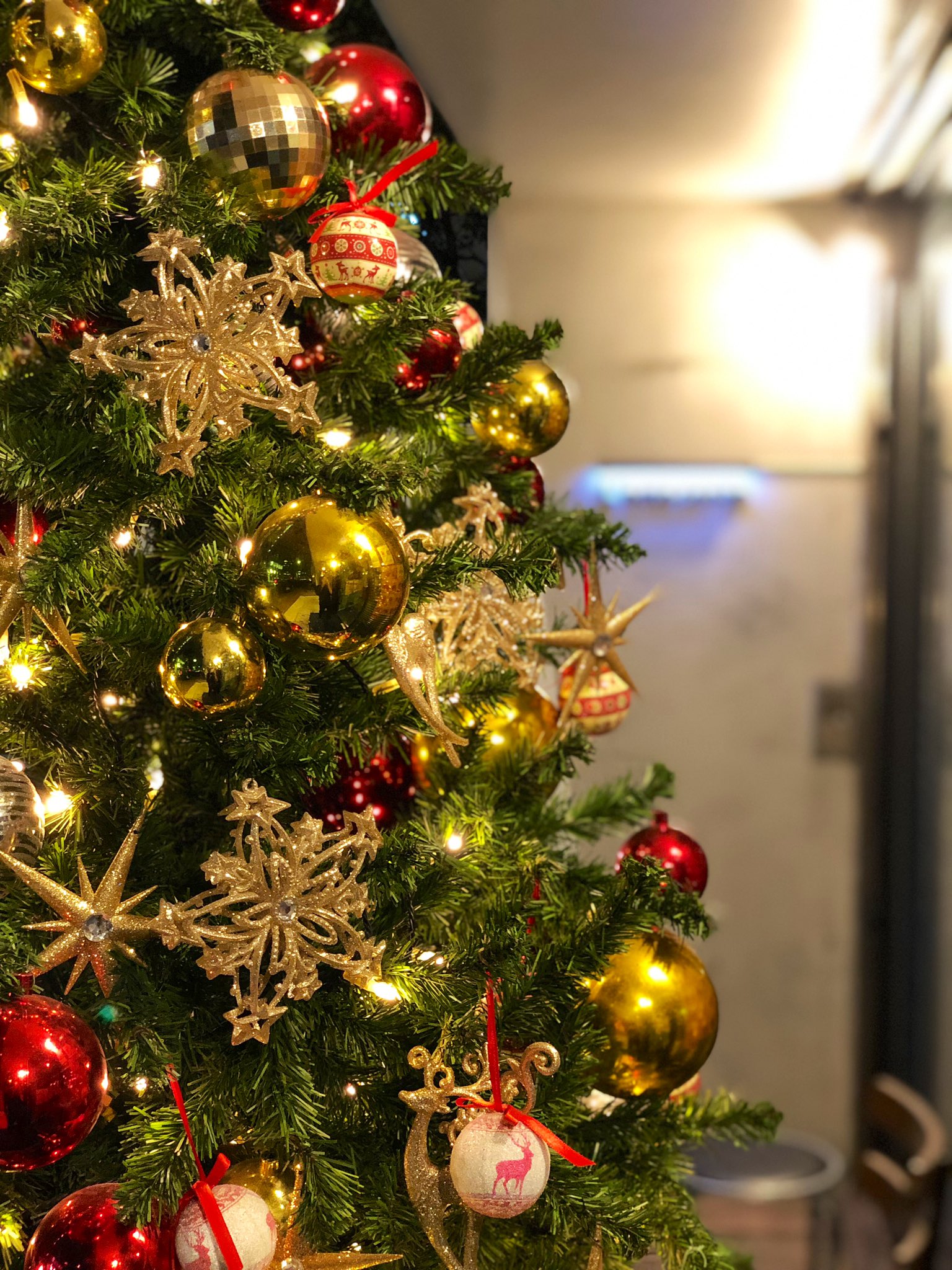 ロットチェント L Ottocento Lottocento16 Twitter