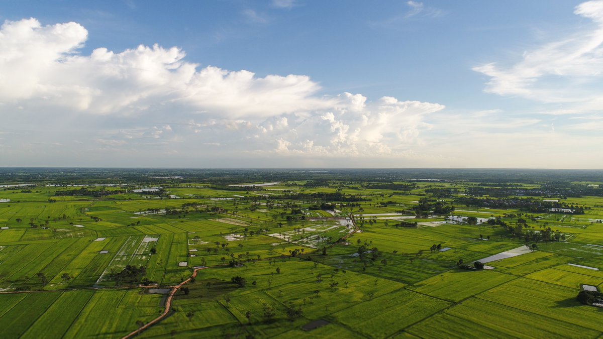 "It is crucial to develop land rights models that will empower communities to formalise their land rights collectively. This will help protect their commonage while preserving their traditional and customary interactions"  Theodor Muduva, NELGA advisor

namibian.com.na/107256/read/Co…