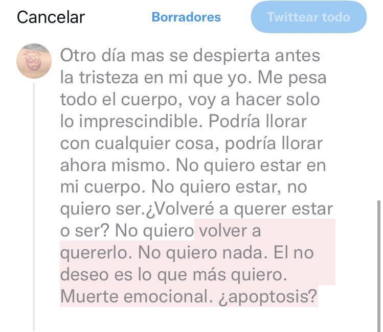 bertacala1's tweet photo. https://t.co/J9aLMLaEq2
