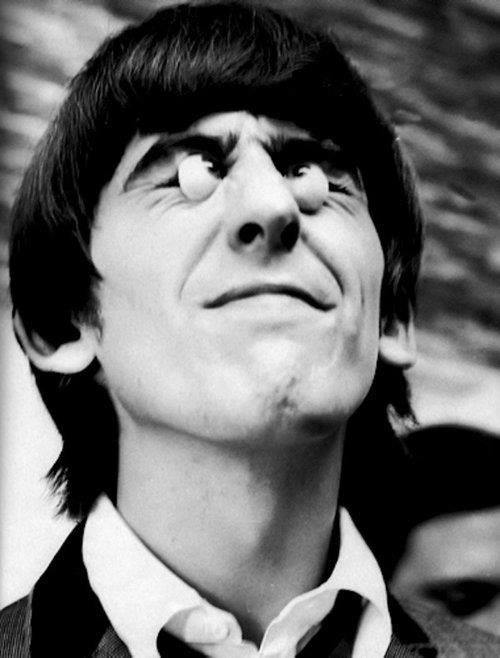 PENNYLAN3S's tweet photo. missing you today and everyday. he never truly left, he’s always here, roaming around and he’s in peace. wherever you are george, we love you x https://t.co/ZEZmK2qy3R