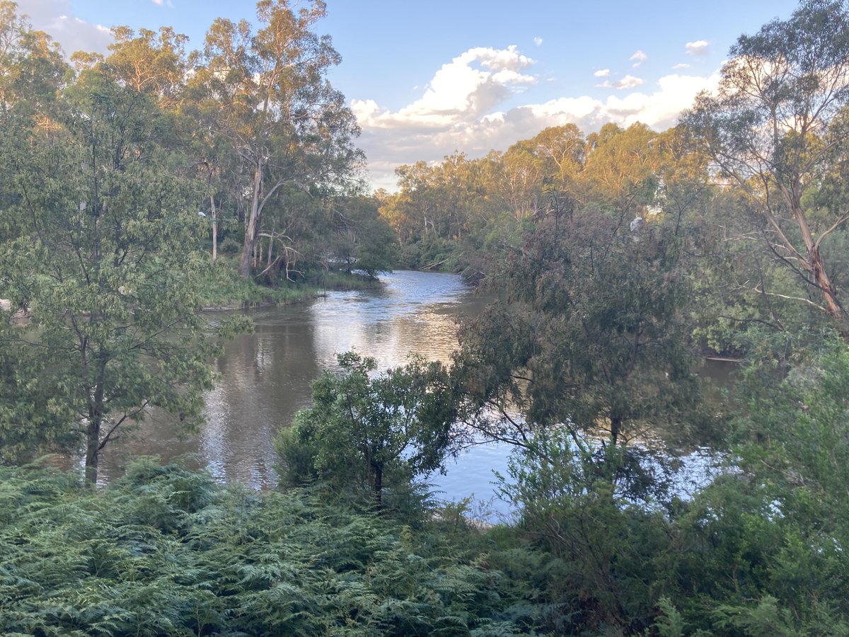 visibleprocrast's tweet photo. A glorious night for a Walk & Talk #Westerfoldians https://t.co/LCw1IcwEVW