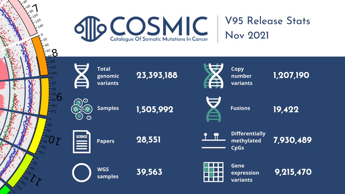 cosmic_sanger's tweet photo. COSMIC v95 is here 🎉

The latest release has a focus on rare female cancers, chromatin remodelling genes &amp; new resistance mutations.
 
Access the data now ➡️ https://t.co/7tCi7jonBT
Read the release notes ➡️ https://t.co/7lofZD8Mpf

#COSMICv95 #cancergenetics #cancerresearch https://t.co/TxsNR9n1jN