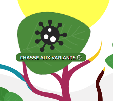 LightOfEvol's tweet photo. Le coronavirus évolue. Plongez dans l’univers des bioinformaticiens et partez à la chasse aux variants ici https://t.co/7SCTgJn3I1 ! #sciencecom @snf_ch https://t.co/qQxtESCT00