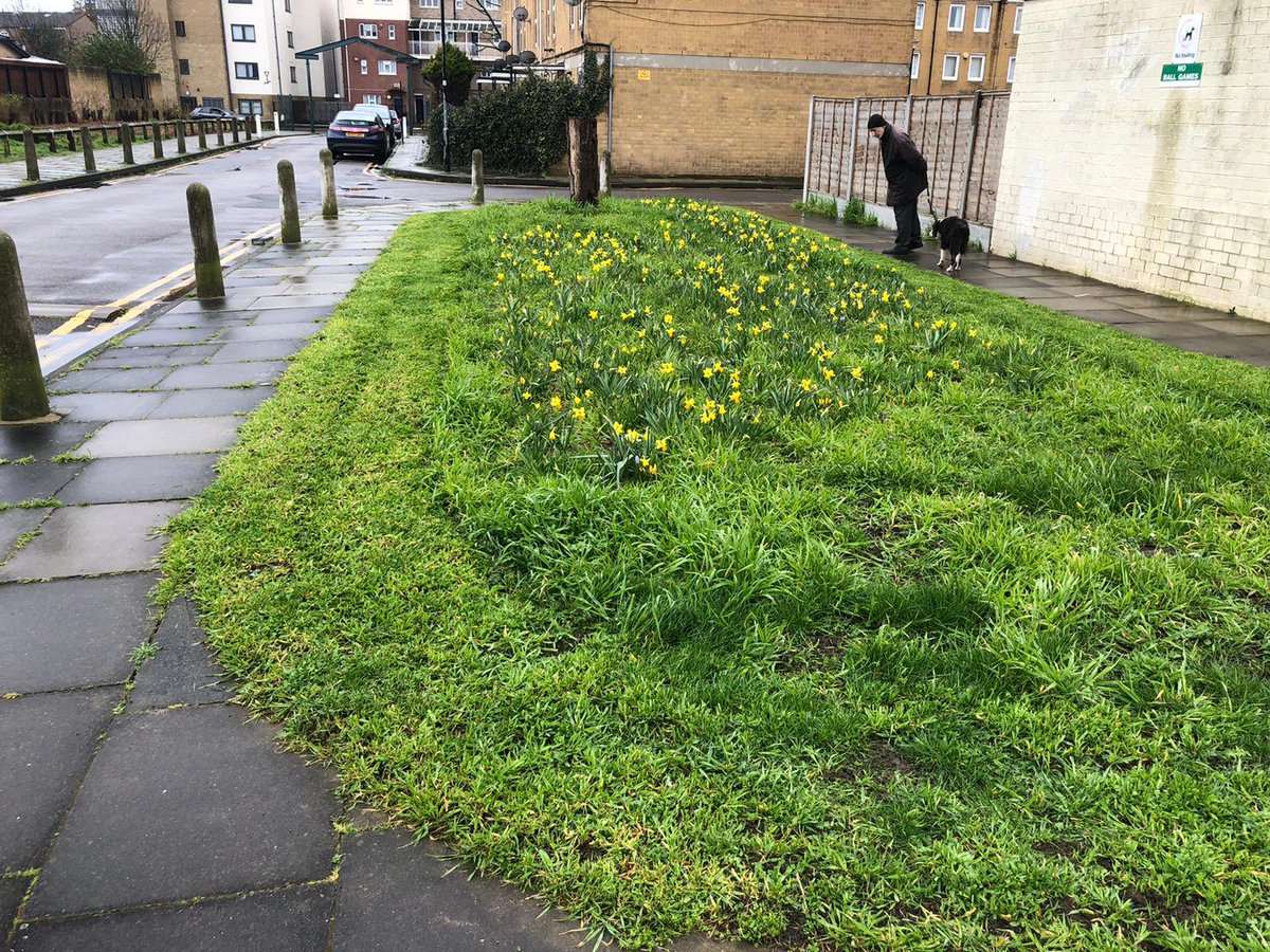 AndrewKauffma20's tweet photo. Looking forward to getting out with @ClaptonParkMO #ClaptonParkGrowers for the next round of #EstateBulbPlanting on #PoppyEstate after good showing 2020 and part of the #CreativeMaintenance solution for #ResidentLeadChange #ResidentInvolvement @idverdeUK @Tel1976 https://t.co/CjCpGD80xH