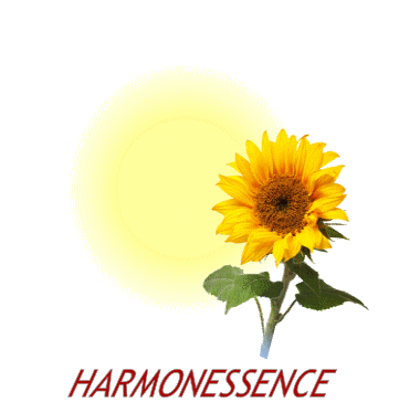 Harmonessence80's tweet photo. L'association Harmonesse sera au Village des Lutins,au parc d'Emonville le 18 et 19 décembre de 14h à 19h.
Venez nous voir. https://t.co/pr1ndcGy6a