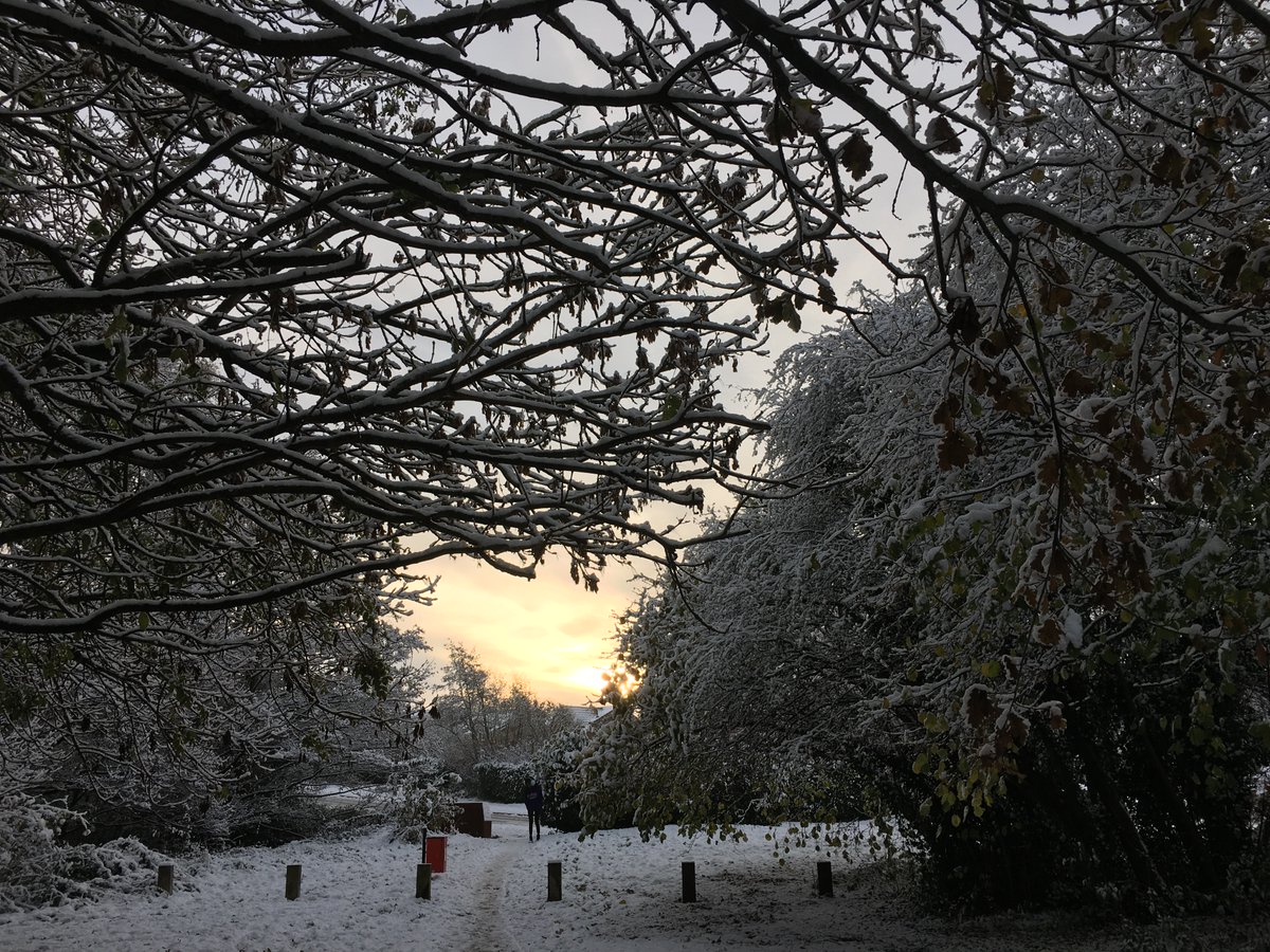 Prof Andy Lane tweet media