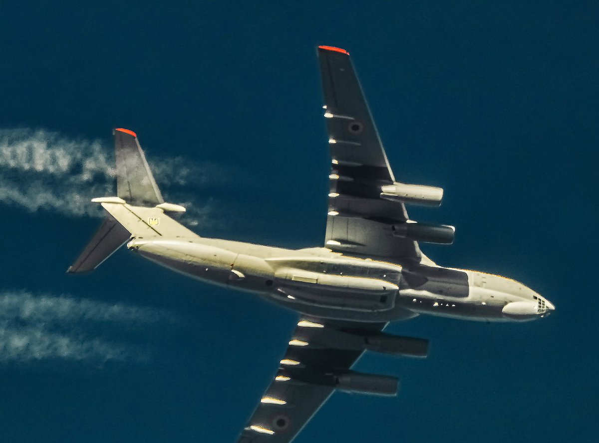 Sava tweet media
