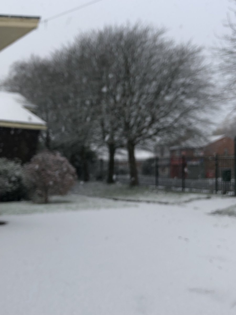 EllieRev's tweet photo. Sunday snow, fourteen beautiful trees in the rectory garden and ⁦@CofEMPlatting⁩ Ridgway street Community gardens to follow -excited . #SnowTrees #NationalTreeWeek ⁦@heritagemcr⁩ ⁦@CommSaversUK⁩ ⁦@DioManchester⁩ ⁦@JigsawNorth⁩ https://t.co/nFrhoJvV6Y