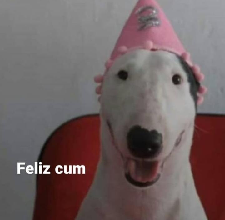 zeniffrex18's tweet photo. @AdcShiiro Feliz cum @ffaka_ 🥳🤑 https://t.co/hL0H312A0C