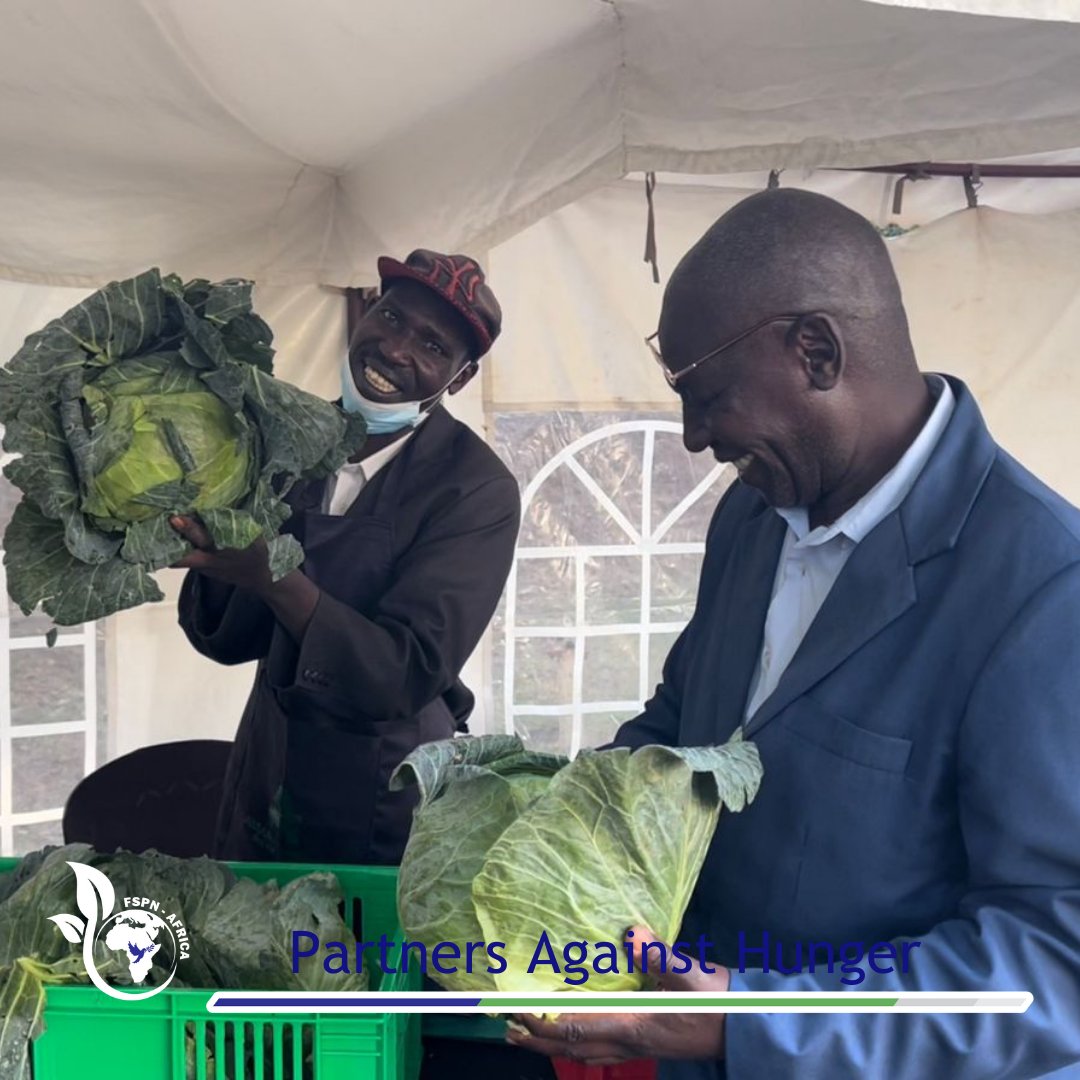 fspnAfrica's tweet photo. Cabbage from FSPN Cluster farmers in Othaya, Nyeri County. It is loved and included in meals by most households in Central Kenya.
Through trainings and incorporating GAPs Smallholder farmers are producing quality cabbages to meet market demands.
#farm2forksolution #DAA https://t.co/4e7hs2rtUZ