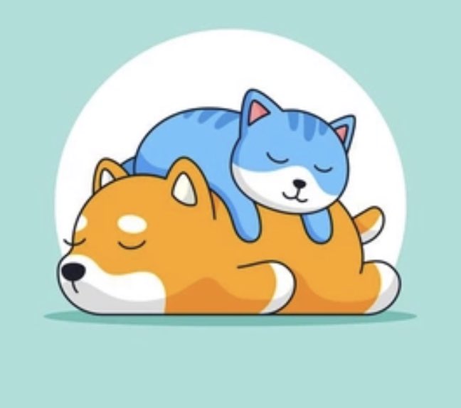 newsfromada's tweet photo. #Shiba #Doge….. dont miss the #cat train https://t.co/WhNFi3cfaI