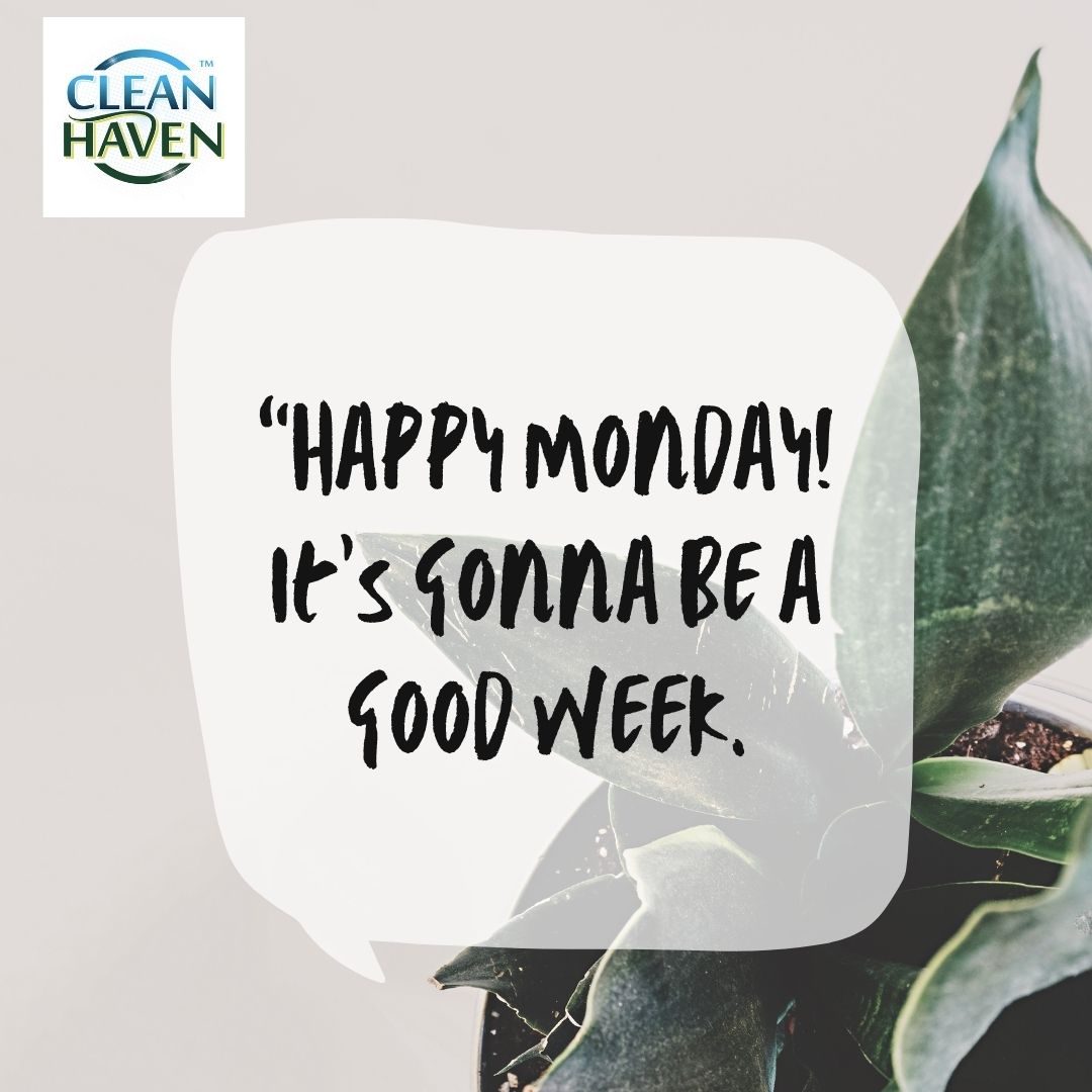 cleanhavenkenya's tweet photo. Happy new week! 💐

#cleanhaven #cleanhavencares #mondaymotivation #mondayvibes #monday #motivation #newweek #new #work #today https://t.co/WrCaMYoweH