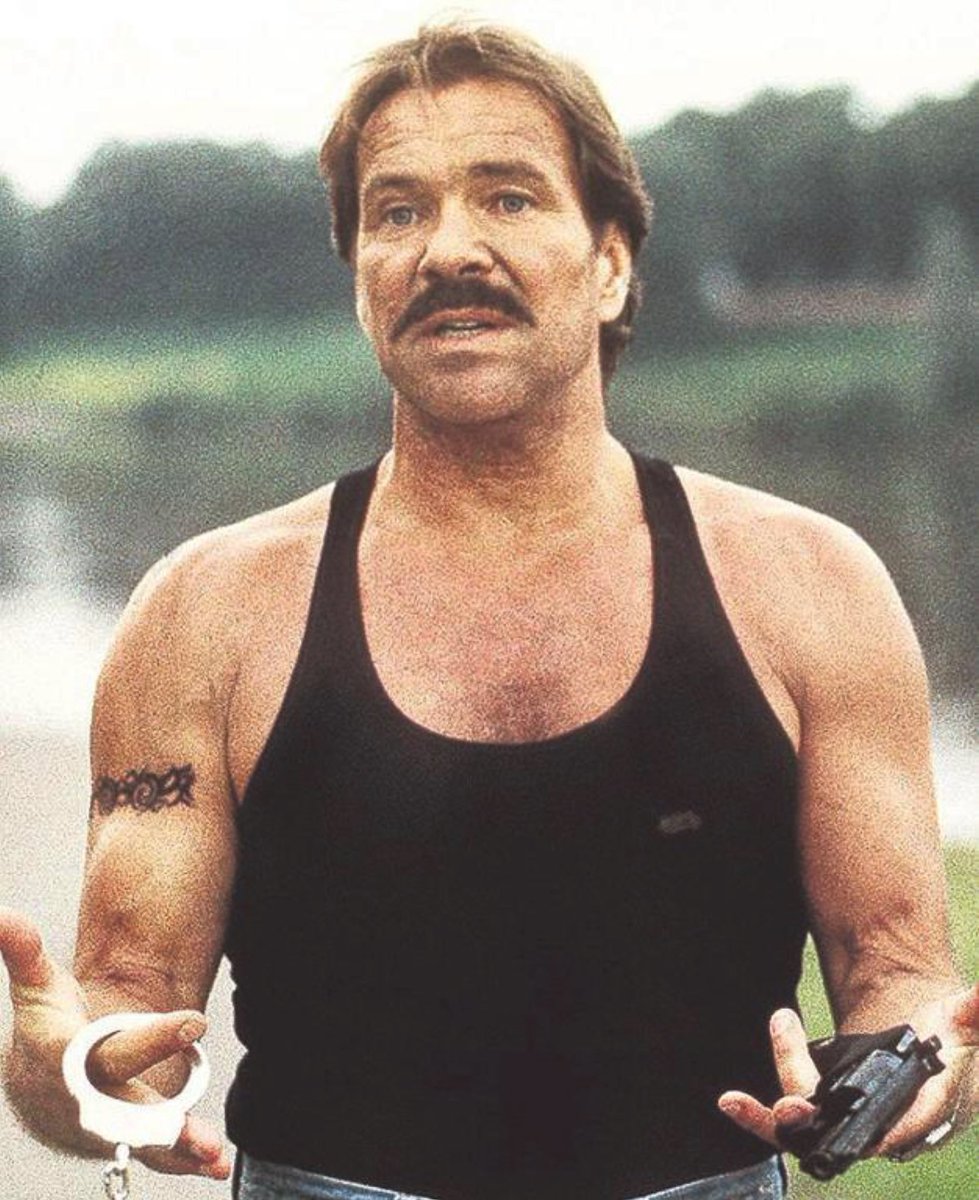 carnivor_a's tweet photo. Deutsche Miami Vice. https://t.co/ymaNXYLXBL