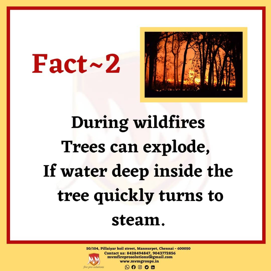 mvmfire's tweet photo. Denying the truth doesn't change the truth!
#mvmfireprosolutions #mvm #Omicron #OmicronVariant #NoWayHome #r4today #coronavirus #MondayMotivation #Mondayvibes #lockdown #CyberMonday #wildfire #AmazonBlackFriday #Amazon #safety #Trending #Tree #Steam #LoveOnTourLongIsland #bbtvi https://t.co/1J7mQWSzBG