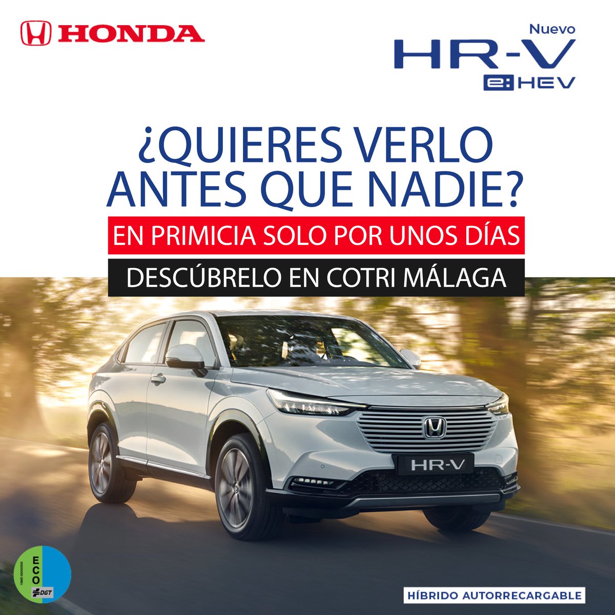 Honda Cotri (@honda_cotri) on Twitter photo 