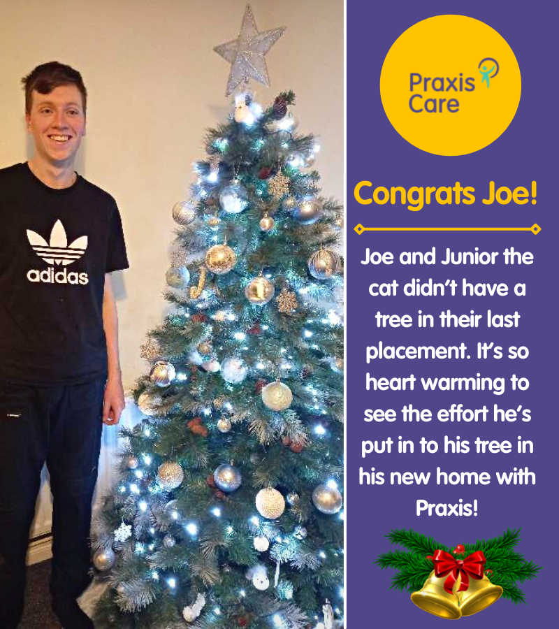 praxiscare's tweet photo. Joe from the Portadown Bespoke DISH scheme is super excited to show you all his fabulous Christmas tree! 🎄🎁 Junior the cat is enjoying the festivities too, especially eying up the decorations 🐈
@SouthernHSCT @nihecommunity
#SupportingPeople #MakeADifferenceDaily https://t.co/LNUAq365HU