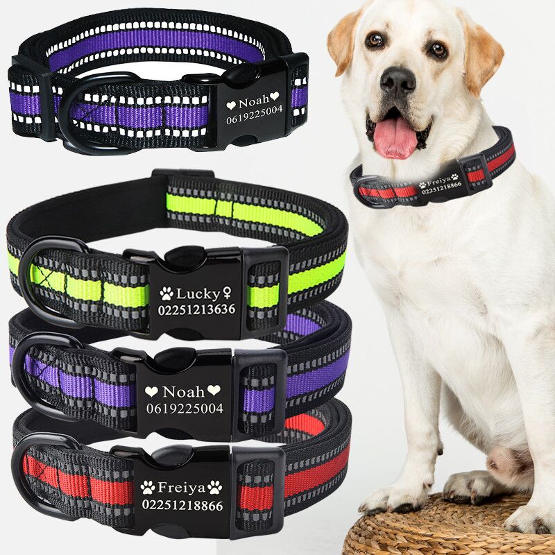 PERSONALIZED DOG COLLAR WITH NAME AND PHONE NUMBER ($16.95)

Add to cart: bit.ly/32J5U2D
Email now: jos@thepawhaven.com

#ThePawhaven #DOGCOLLAR #DogAccessories #Singapore