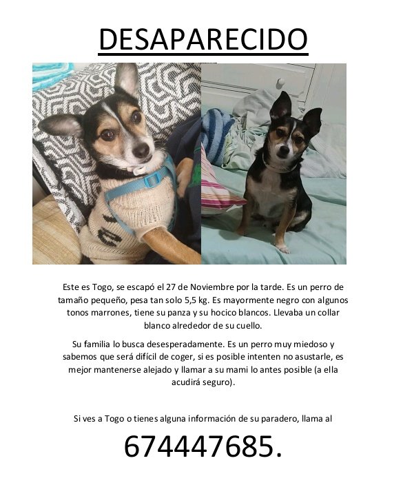 SOS Perrera Córdoba tweet media