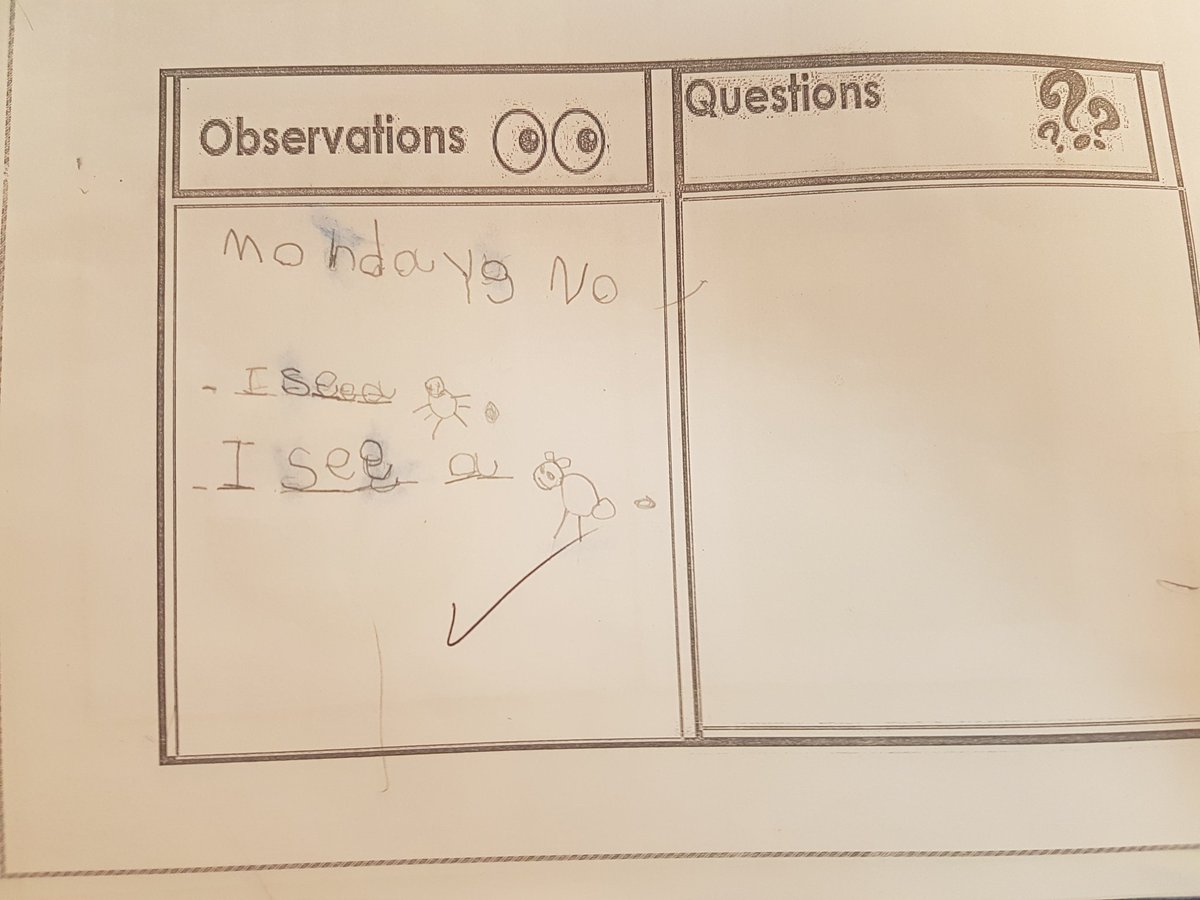 We r proud of each &amp; every learner in Kg3C as every single kid is doing his/her best 2 express his/her ideas and thoughts using sight words 2 build a sentence.#differentsamples #inventivewriting #expandedsentences #differentiation <a href="/DaraziFarah/">Farah Darazi</a> <a href="/Hhhsinfo/">Houssam Hariri HS</a> <a href="/TawilNoor/">Noor Taweel</a> <a href="/Darineyassine/">Darin Yassin</a>