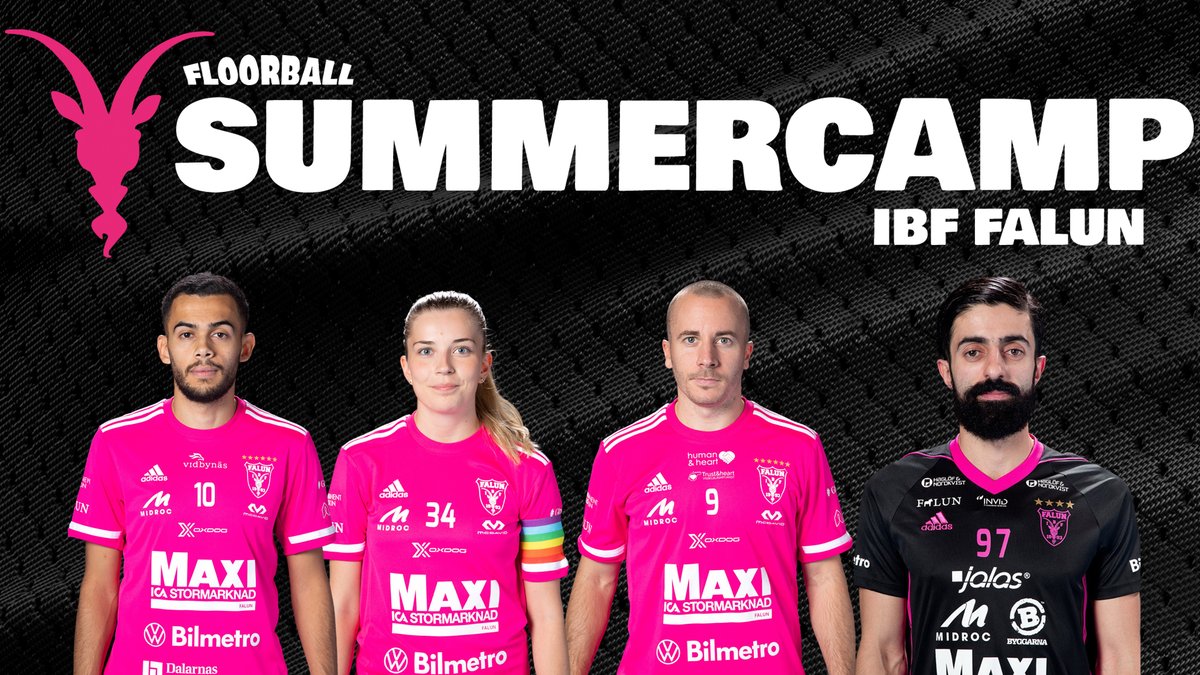 I sommar hälsar äntligen våra campledare Alexander Galante Carlström, Moa Gustafsson, Omar Aldeeb och Ciya Hajo er varmt välkomna tillbaka till IBF Falun Summercamp - Sveriges roligaste innebandyskola! 
Missa inte att boka årets julklapp: svenskalag.se/ibffalun-camper
#ibffalun #oxdog