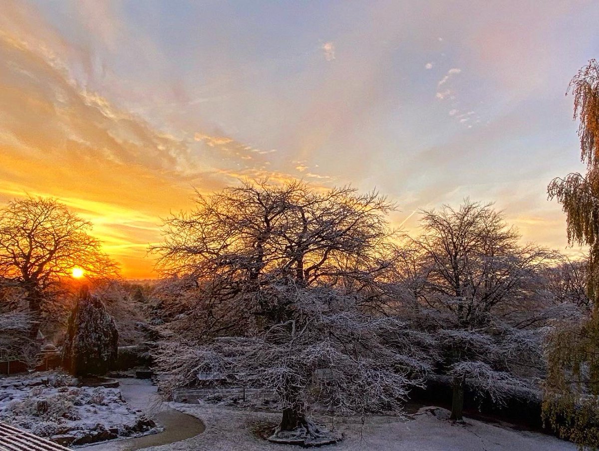 Beautiful winter sunrise in the hospice garden this morning 😍❄️ 🌅 

#sunrise #nottingham #nottinghamshire #snow #uksnow #wintermorning #wintersun #wintersunrise