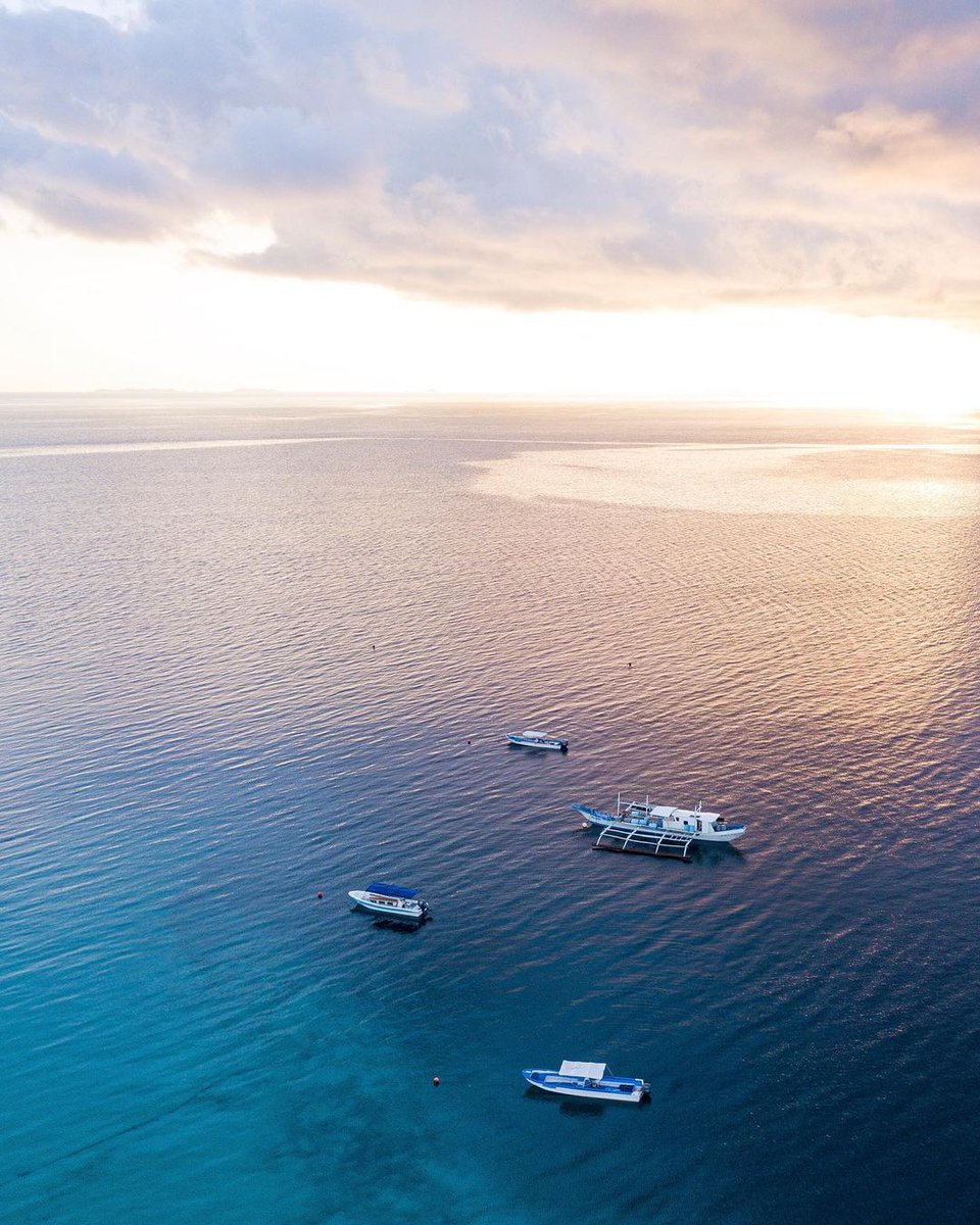 Club Paradise Palawan tweet media