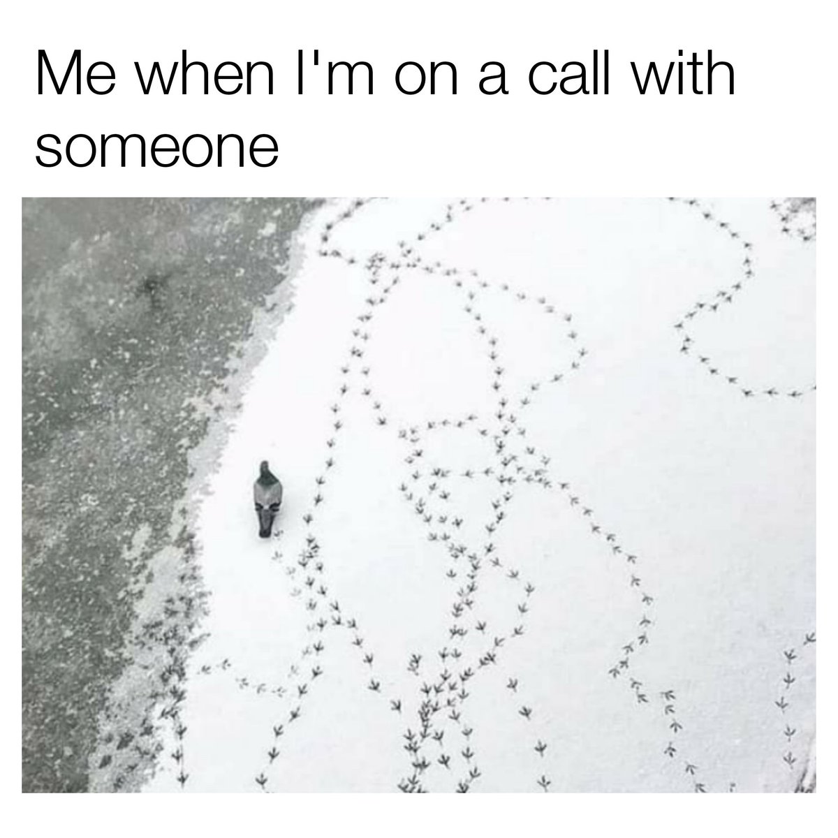 TheViralGroup's tweet photo. Guilty 🙋‍♂️ https://t.co/Kl6U6bf8ry