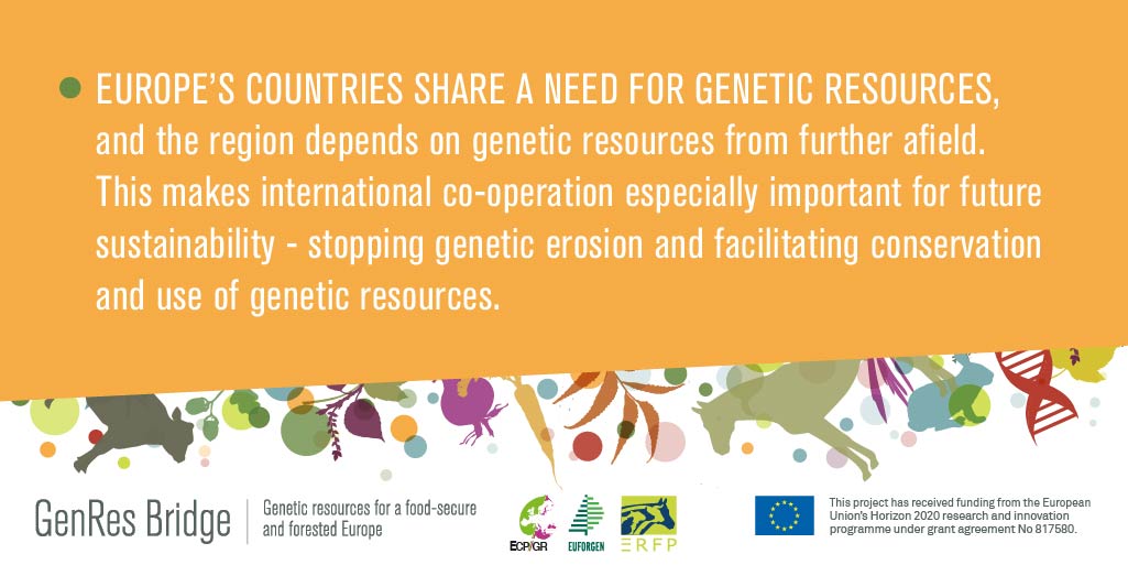 ‼️ Tomorrow, 30th of November, ⏰9am CET
we are reaching a milestone with the launch of the #GeneticResources #Strategies for #Europe in📍Brussels! 

🛑Last chance to register to the live-stream and become part of the discussion
⬇️

genresbridge.eu/registration-f…