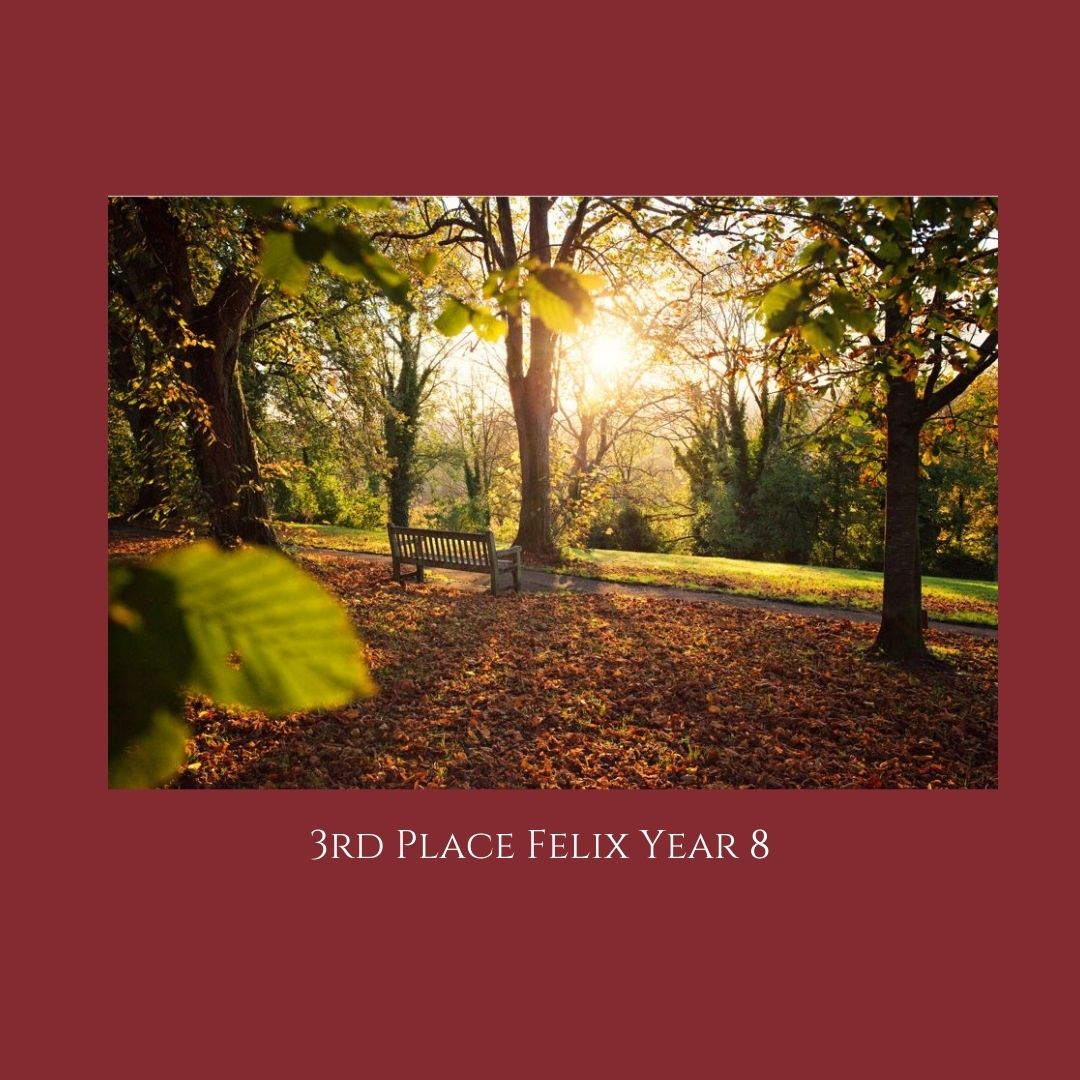 school_kings's tweet photo. Our Autumn Photography competition saw a large number of highly talented photographers submitting truly beautiful and creative pictures for our judges to consider. Congratulations to all #UnaLaborantes #WorkingTogether https://t.co/Qv9B2Y5dn3
