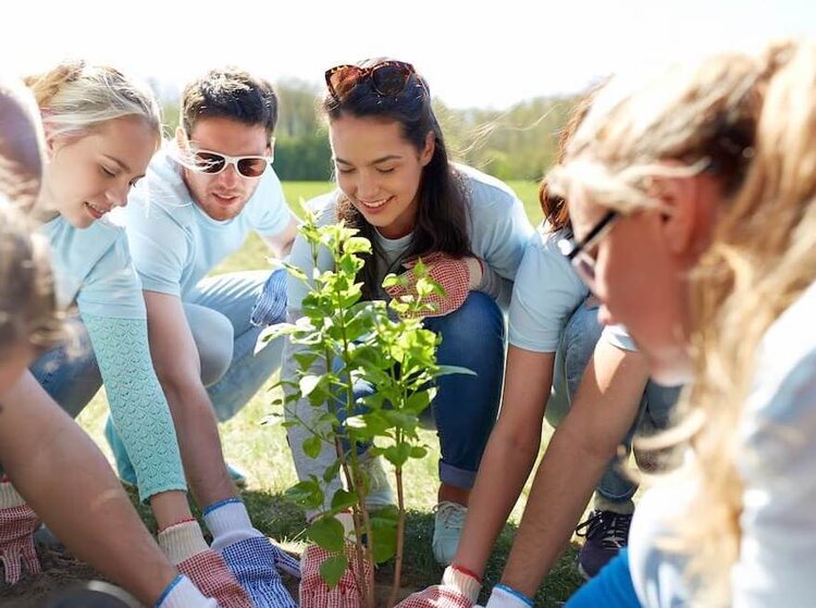 It is officially #nationaltreeweek! The Evergreen Fund is proud to dedicate £100,000 each year to native tree planting and woodland creation projects.
➡️ ow.ly/Quwg50GY67i
#trees #biodiversity  #climatereaction #sustainability