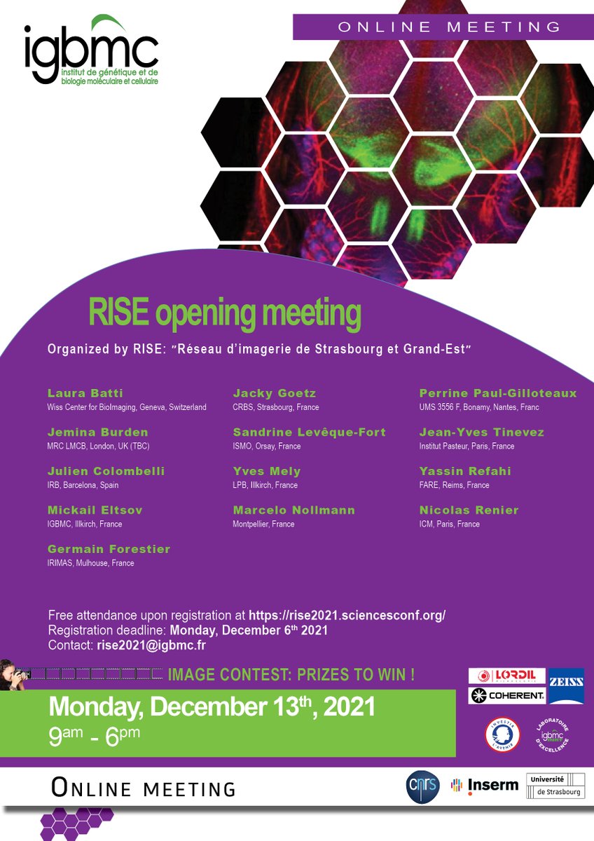IGBMC's tweet image. #EventIGBMC // Just one week left to register to the @RISE_micro online meeting to discuss latest advances and major challenges in the field of photonic imaging and #Microscopy. 🔬

📅The event will take place Monday 13th of December, to get all the info : bit.ly/3CmjuoO