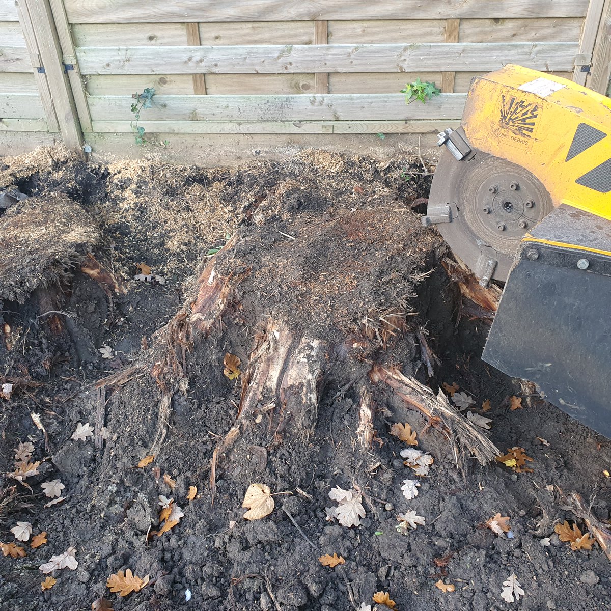 TreeGrinding's tweet photo. Tree stump grinding several conifer trees stumps in Chigwell, near Ongar, Essex. The garden was having a total makeover, hence the need to remove the trees stumps. #Treestumpgrinding #treestumpremovals #Chigwell #Ongar #treestumps #stumps #Essex https://t.co/rzSjMt22Py