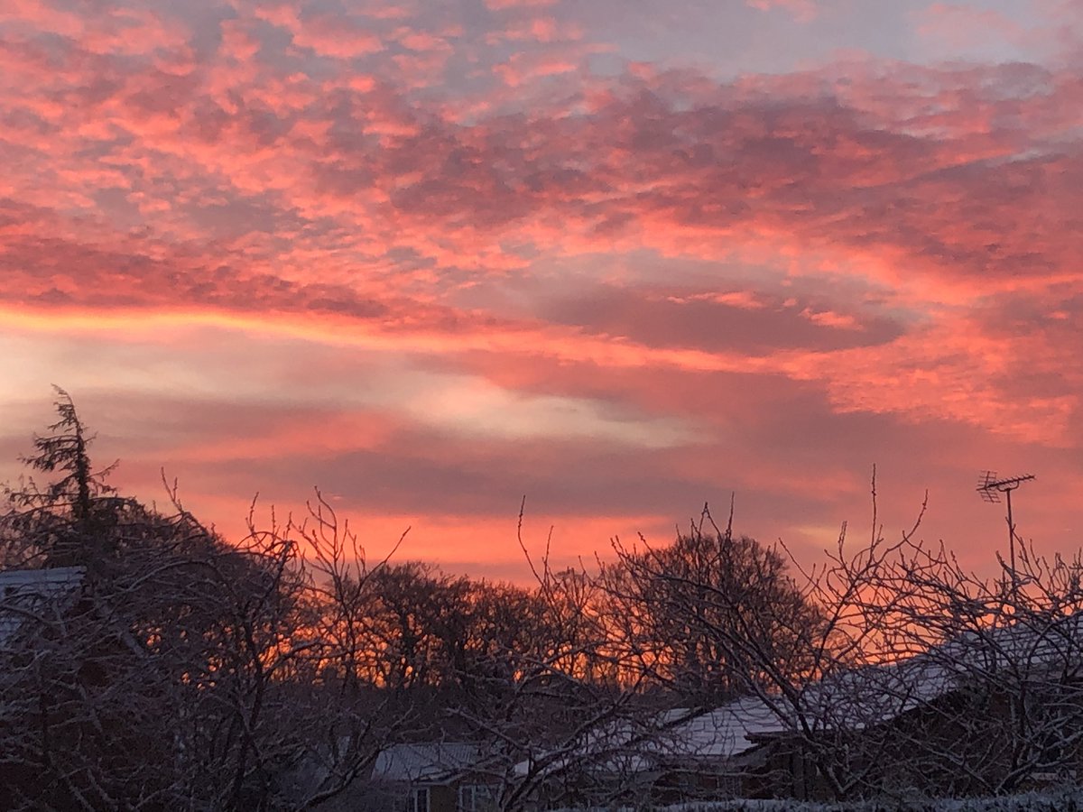 jonwalsh tweet media