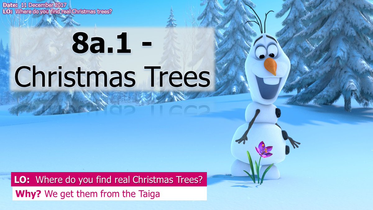 lgs_news's tweet image. It's the run up to Christmas... Y10 Geogs have started learning about Taiga biomes (land of the Christmas Trees): creating new producers/consumers . Short sharp generative learning tasks help reinforce the characteristics in long-term memory (Millie's below ⬇️) #everyonecancreate